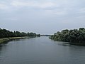 The Rhine near Marckolsheim