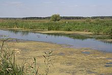 Trubizh-Borschiv-streambed-03.jpg