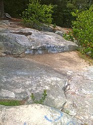 Nehantic Trail - Mount Misery summit