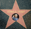 MB298 For all your work on Donald Trump-related topics. MB298 (talk) 03:45, 28 September 2016 (UTC) The Donald Trump Barnstar