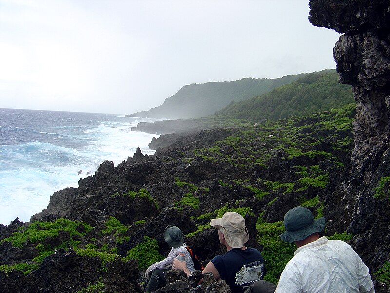 File:Sharp rocks make for a moonscape on the coast of Guam (line377672745).jpg