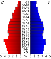 Bevolkingspiramide Bryan County