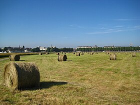 Image illustrative de l’article Prairie (Caen)