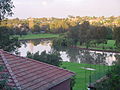 The Cooks River