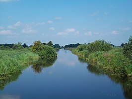 De Alde Feanen