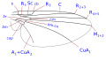 Phytomyzinae wing veins (without discal cell)