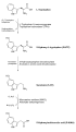 Biosynthesis serotonini