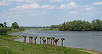 Uiterwaarden van de IJssel tussen Welsum en Welsumerveld