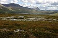 Réserve naturelle de Vindelfjällen, 26 juin 2013