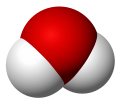 All types of isotopically substituted water molecules have this structure.