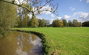 Die Aurach bei Neuses (Erlangen)