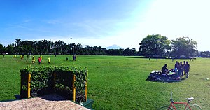 Purworejo Square during Car Free Day with Sumbing mountain at the distance and 2 Banyan Trees in the middle of the square