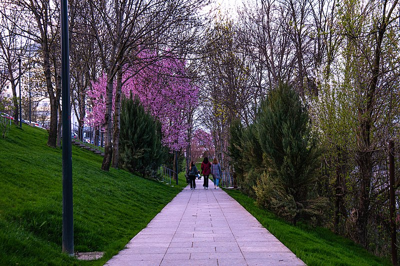 File:Primavara in Parcul Tineretului.jpg