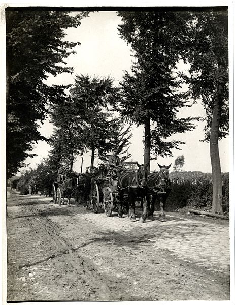 File:Artillery carts carrying branches to use for screening guns (Bout de Ville, France). Photographer- H. D. Girdwood. (13875621943).jpg