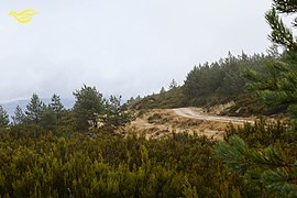 Baltar, Province of Ourense, Spain - panoramio (35).jpg