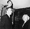 Joe DiMaggio, Marilyn Monroe and Tstsuzō Inumaru ジョー･ディマジオ、マリリン･モンロー、犬丸徹三