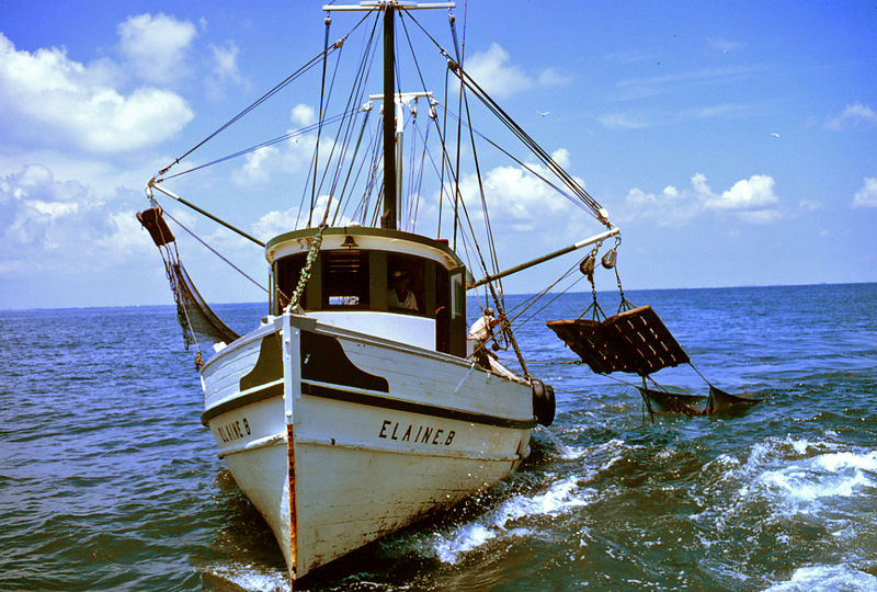 File:Trawer Hauling Nets.jpg