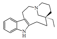 centru