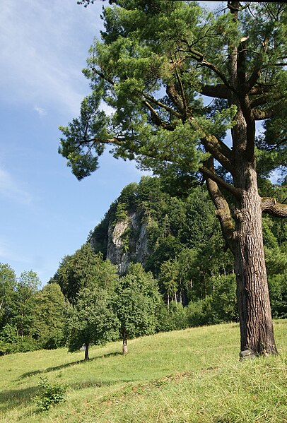 File:Frastanz-Stadtschrofen (Feldkirch)-02.jpg