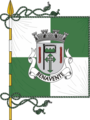 Bandeira de Benavente