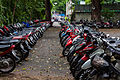 * Nomination Motorcycles parking, Ho Chi Minh City, Vietnam --Poco a poco 09:16, 22 December 2013 (UTC) * Promotion OK for QI. --NorbertNagel 16:35, 22 December 2013 (UTC)