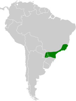 Distribución geográfica del orejerito ojirrojo.