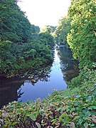 "De Steile Oever" mei yn de djipte in ôfsnien rivierbocht fan de Regge by Nieuwebrug (besúden fan Ommen). (2006)