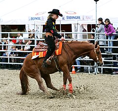 Skid boots protect the rear fetlocks during a sliding stop