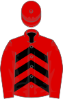 Red, black chevrons on body