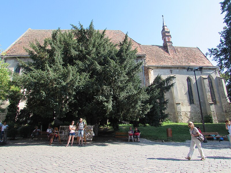 File:Biserica Manastirii din Sighisoara9.JPG