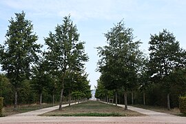 Parc de Brabois