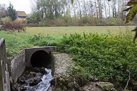 Le déversoir du ru de Rebais dans la rivière École au hameau du Petit-Moulin.