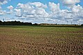 * Nomination: View from the path along the D62B road, in Phalempin, France --Velvet 05:53, 22 October 2024 (UTC) * * Review needed