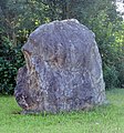 Pedra calcària, una roca sedimentària