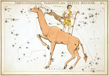 Carta 2: Camelopardalis, Tarandus i Custos Messium