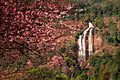 Siri Phum Waterfall in Doi Inthanon National Park