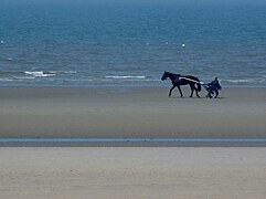 Zuydcoote Beach