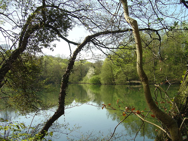 File:2286-00020 Parc de Woluwe.JPG