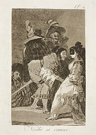 Capricho No. 6: Nadie se conoce (Neniu konas sin)