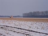 Landschaft im Merfelder Bruch