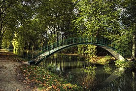 La passerelle vieux canal.