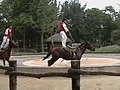 Equestrian skills displayed