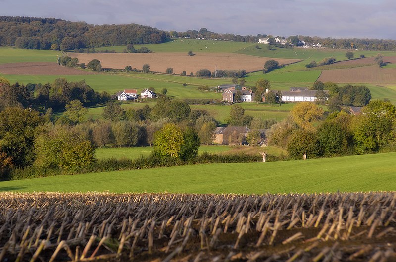 File:Plaat, gezien vanaf Camerig - panoramio.jpg