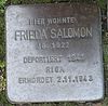 Stolperstein Drensteinfurt Hammer Straße Frieda Salomon