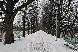 Promenade sous la neige (2018).