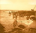 Les ramasseurs de goémon à la palue du Cosquer en Loctudy (photographie d'André Dauchez, début XXe siècle).