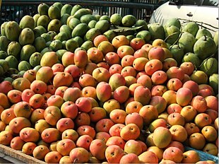 Mangga gedong gincu (reddish) and other cultivars at mangoes stall in Jakarta.