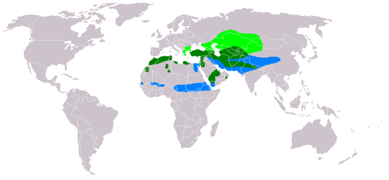 File:Buteo rufinus distribution map.png