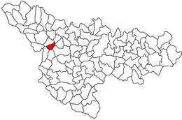 Cărpiniș – Mappa