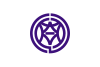 Flag of Shimizu City, Shizuoka